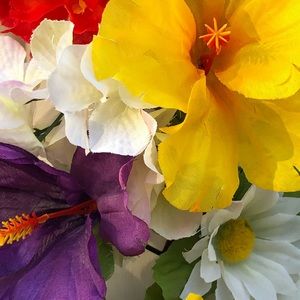 Meet your Posher, Johnnetta